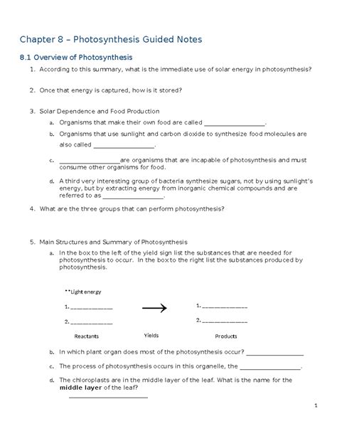 Chapter 8 Photosynthesis Test A Answer Key