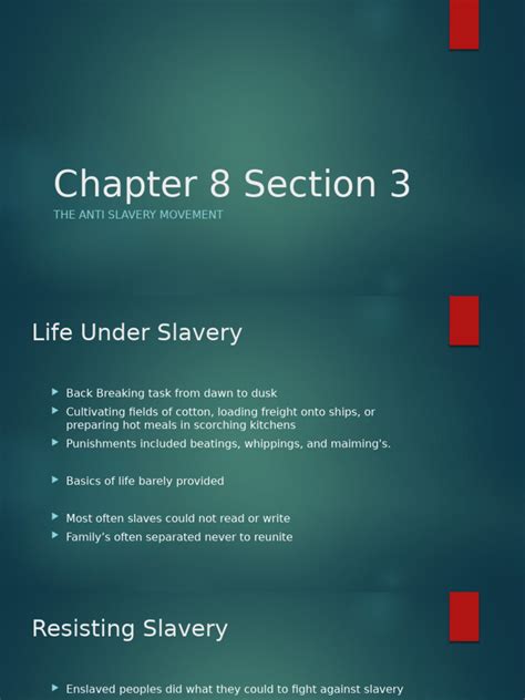 Chapter 8 Section 3 Women Reform Answers