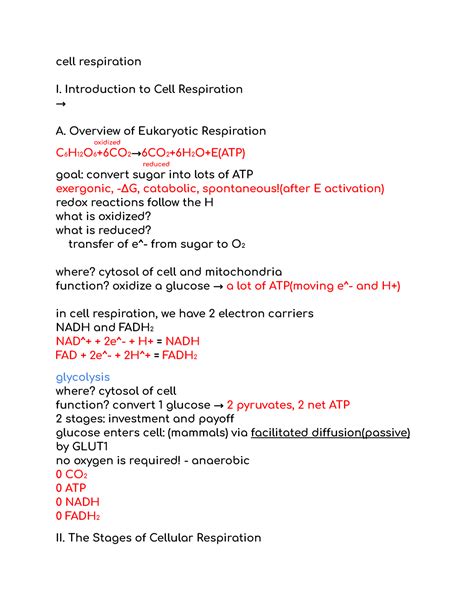 Chapter 9 Cell Respiration Study Guide