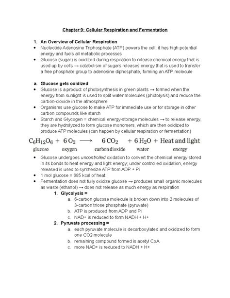 Chapter 9 Cellular Respiration Assessment Answer Key
