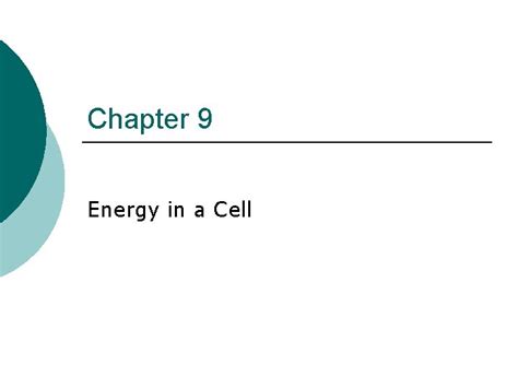 Chapter 9 Energy In A Cell Worksheets K12 Cell Energy Worksheet Answers - Cell Energy Worksheet Answers