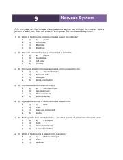 Chapter 9 Nervous System Study Guide Answers