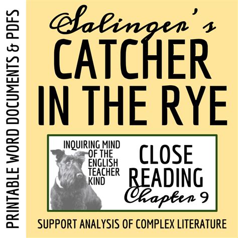 Chapter 9 The Catcher In The Rye