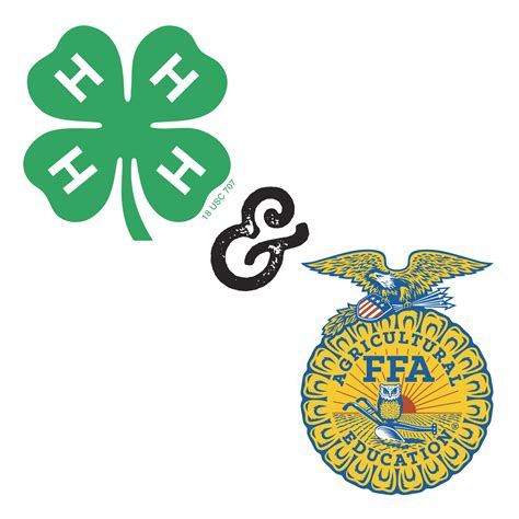 Chapter County 4 H Ffa