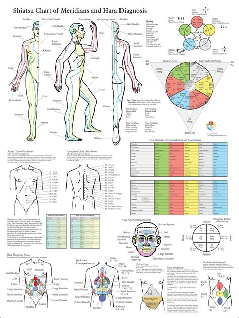 Chapter Hara Shiatsu