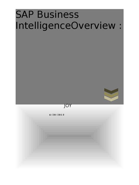 chapter sap business intelligence overview