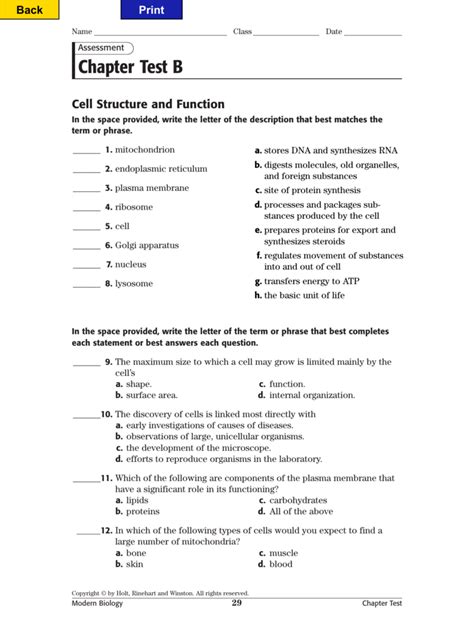 Chapter Test B Cell Structure And Function Bing