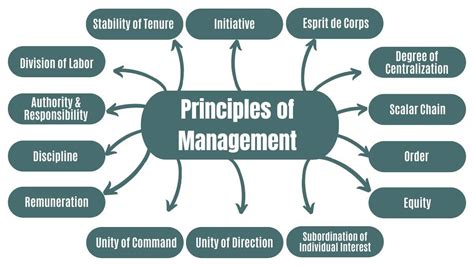 Read Chapter 1 Basic Management Principles Iaap Athens 