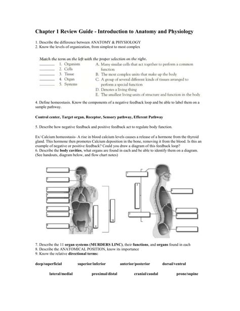 Full Download Chapter 1 Introduction To Human Anatomy And Physiology Test 