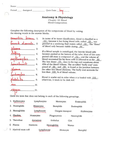 Read Chapter 10 Blood Anatomy And Physiology Coloring Workbook Answer Key 