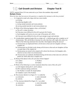 Read Chapter 10 Cell Growth Division Section Review 1 Answers 