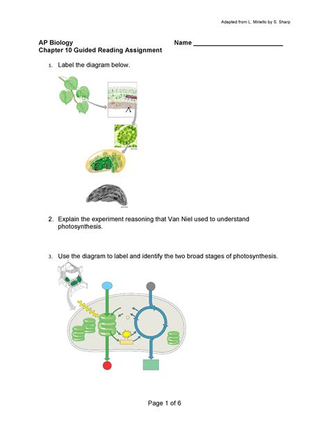 Full Download Chapter 10 Guided Reading Answers Ap Bio 