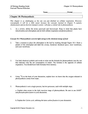 Full Download Chapter 10 Photosynthesis Reading Guide 