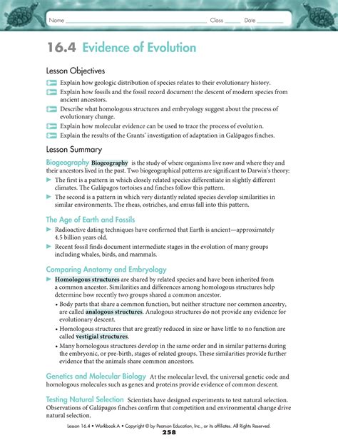 Full Download Chapter 10 Review The Theory Of Evolution 