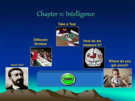 Read Online Chapter 11 Intelligence Answers 