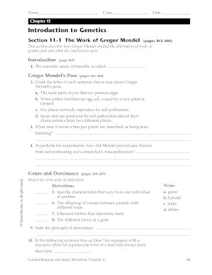 Full Download Chapter 11 Introduction To Genetics Graphic Organizer 