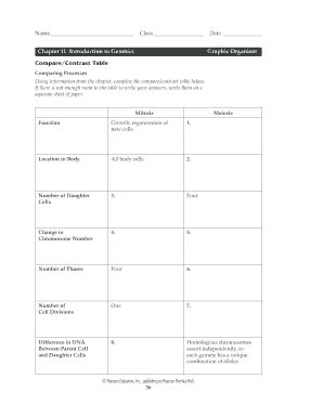 Full Download Chapter 11 Introduction To Genetics Graphic Organizer 