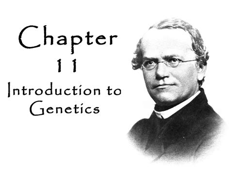 Read Chapter 11 Introduction To Genetics Te 