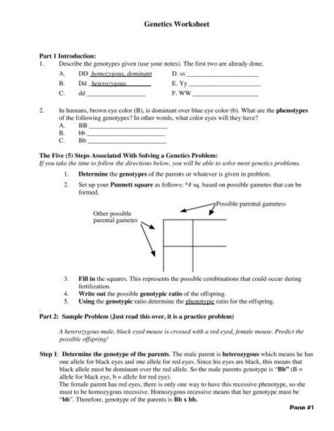 Download Chapter 11 Introduction To Genetics Test A Answer Key 