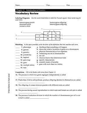 Read Chapter 11 Introduction To Genetics Workbook Answer Key File Type Pdf 