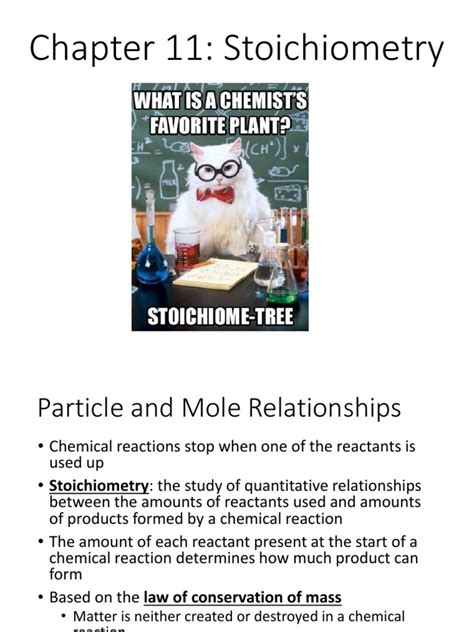Download Chapter 11 Stoichiometry 