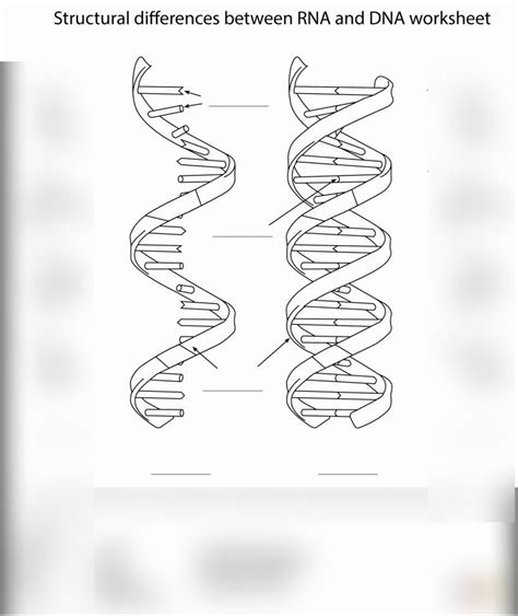 Download Chapter 12 Dna And Rna 