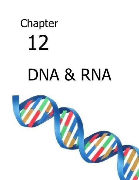 Full Download Chapter 12 Dna And Rna Outline 