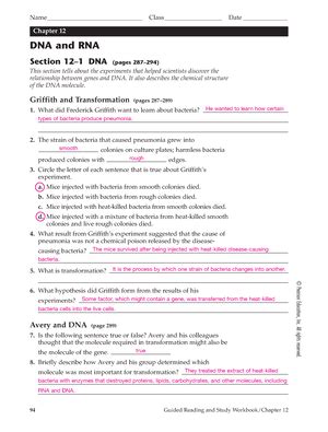 Full Download Chapter 12 Dna And Rna Wordwise Answers 