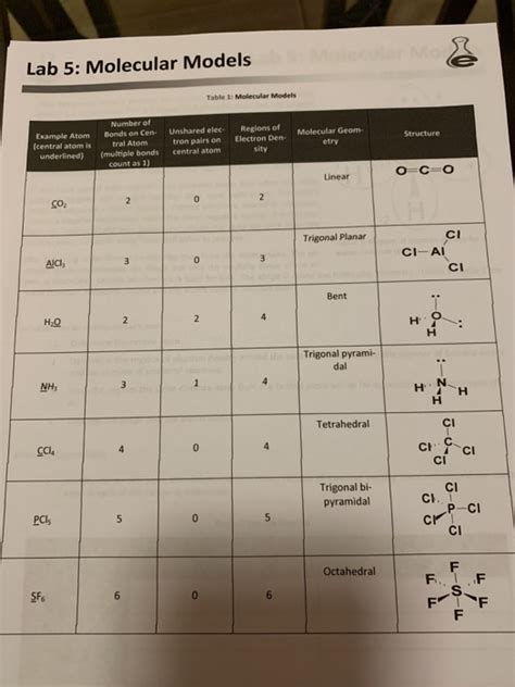 Download Chapter 12 Lab Molecular Models 