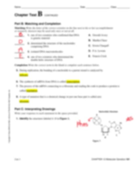 Full Download Chapter 12 Molecular Genetics Test Answers 