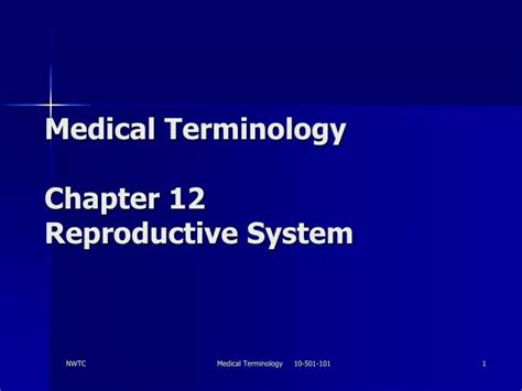 Read Chapter 12 The Reproductive System 