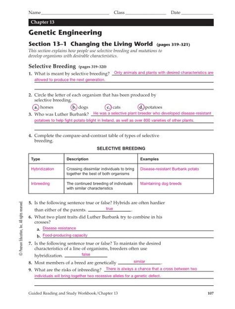 Full Download Chapter 13 Genetic Engineering Worksheet Answer Key 