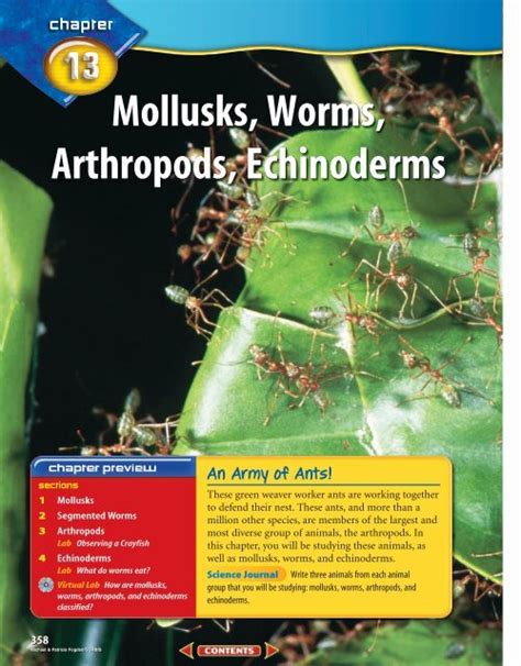 Full Download Chapter 13 Mollusks Worms Arthropods Echinoderms 