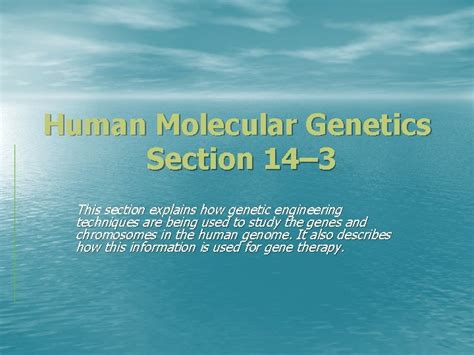 Full Download Chapter 14 3 Human Molecular Genetics 
