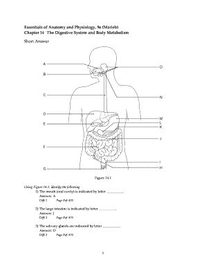 Read Chapter 14 Digestive System Body Metabolism Answer Key 