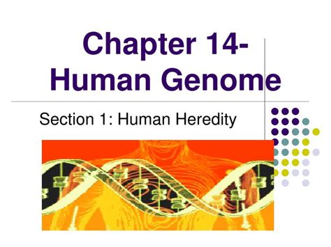 Read Chapter 14 Human Genome From Gene To Molecule Pages 346 348 