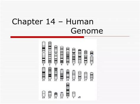 Read Chapter 14 Human Genome Test 
