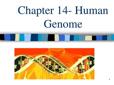 Download Chapter 14 Human Genome Wordwise 