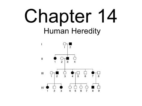 Read Chapter 14 Human Heredity Test 