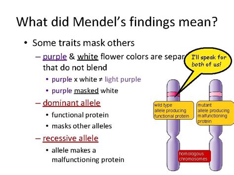 Read Chapter 14 Mendel And The Gene Idea Answer Key 