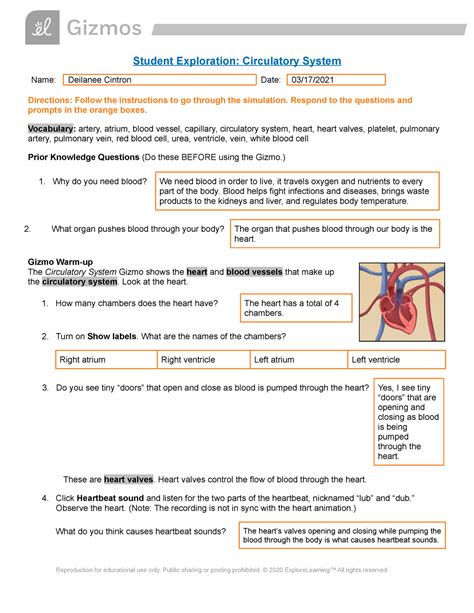 Download Chapter 15 Cardiovascular System Answer Key 