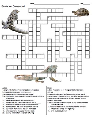 Read Chapter 15 Darwins Theory Of Evolution Crossword Puzzle 