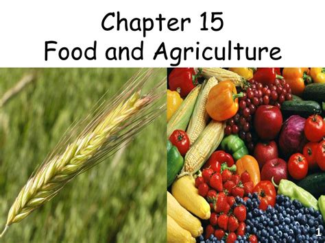 Full Download Chapter 15 Food And Agriculture Concept Review 