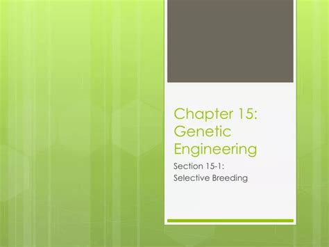 Read Online Chapter 15 Genetic Engineering 