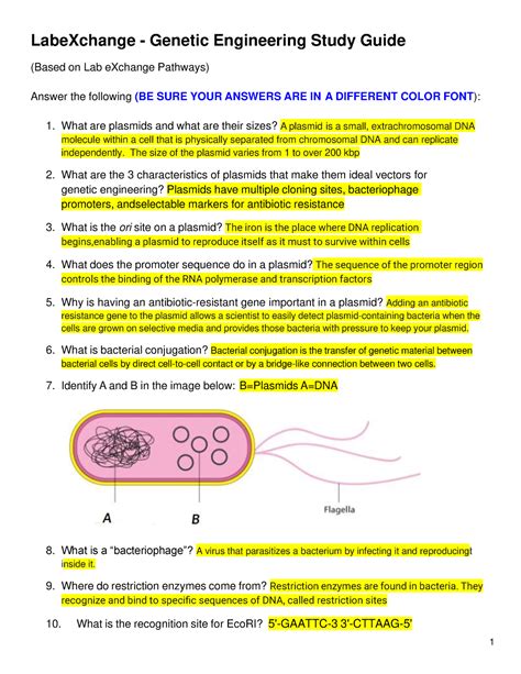 Read Chapter 15 Genetic Engineering Workbook Answers File Type Pdf 