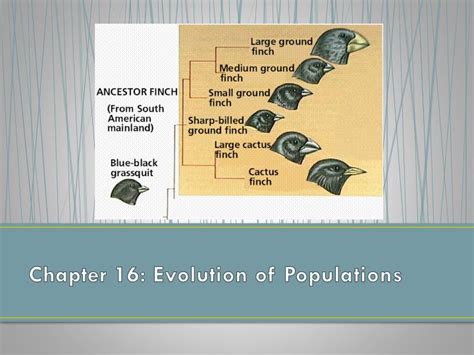 Read Chapter 16 Evolution Of Populations Section Review Answer Key 