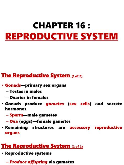 Read Chapter 16 Reproductive System 