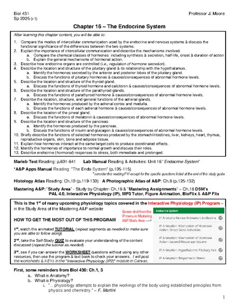 Read Chapter 16 The Endocrine System Study Guide 