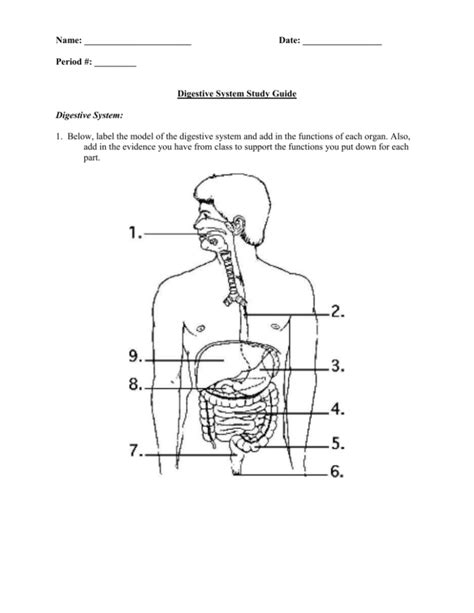 Read Online Chapter 17 Digestive System Study Guide Answers 