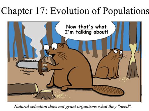 Read Online Chapter 17 Evolution Of Populations Answers 